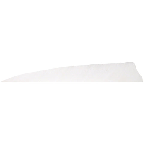 Gateway Shield Cut Feathers White 4 in. RW 100 Pk.