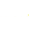 Gold Tip Valkyrie XT Arrow 300 4 Fletch 6 pk. - Gold Tip - View 1