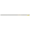 Gold Tip Hunter Pro Arrow 500 4 Fletch 6 pk. - Gold Tip - View 1