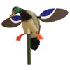 Mojo Baby MOJO Drake Decoy - Mojo Outdoors - View 1