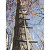 Rivers Edge Connect N Climb Stick 20 ft. - Rivers Edge Treestands - View 2