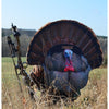 Montana Decoy Fanatic XL  Turkey Decoy - Montana Decoy - View 2