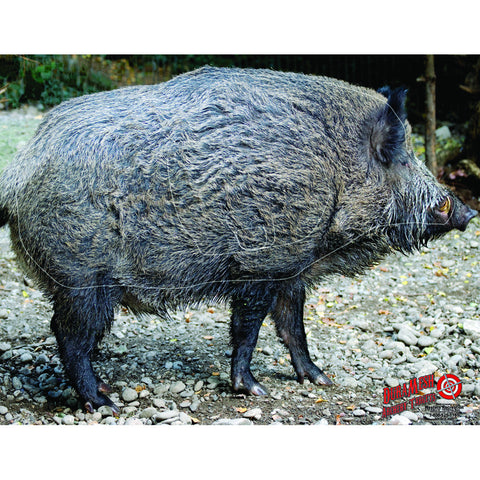 DuraMesh Archery Target Wild Boar 25 in. x 32 in.