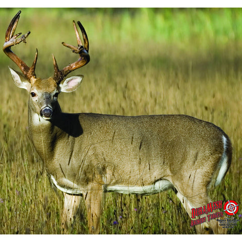 DuraMesh Archery Target Whitetail 4 25 in. x 32 in.