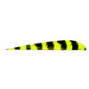 Trueflight Parabolic Feathers Barred Yellow 5 in. RW 100 pk. - Trueflight - View 1
