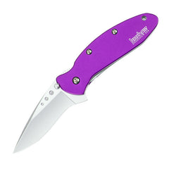 Kershaw Scallion Assisted Fine Edge Folding Knife Purple
