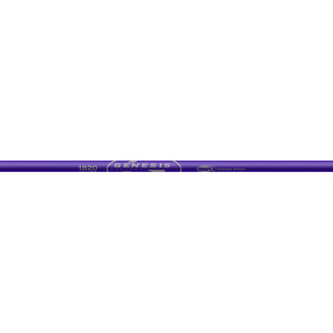 Easton Genesis V2 Shafts Purple 1 doz.