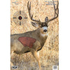 Birchwood Casey Pregame Mule Deer 16.5x 24 Target 3pk