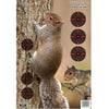 Birchwood Casey Pregame Squirrel 12x18 Target 8pk